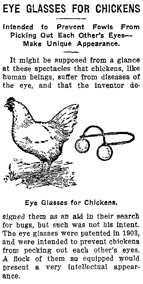 Chicken Glasses